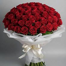 Букет 101 Красная роза Блэк Мэджик в Навашино