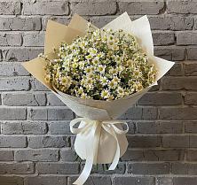 Букет цветов из:  Ромашки в Навашино