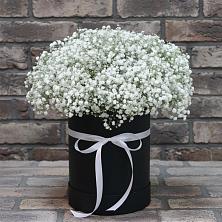 Цветочная композиция из Гипсофила в шляпной коробке в Навашино