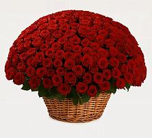 Премиум букет из: Розы в Навашино