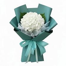 Букет цветов из:  Гортензия в Навашино